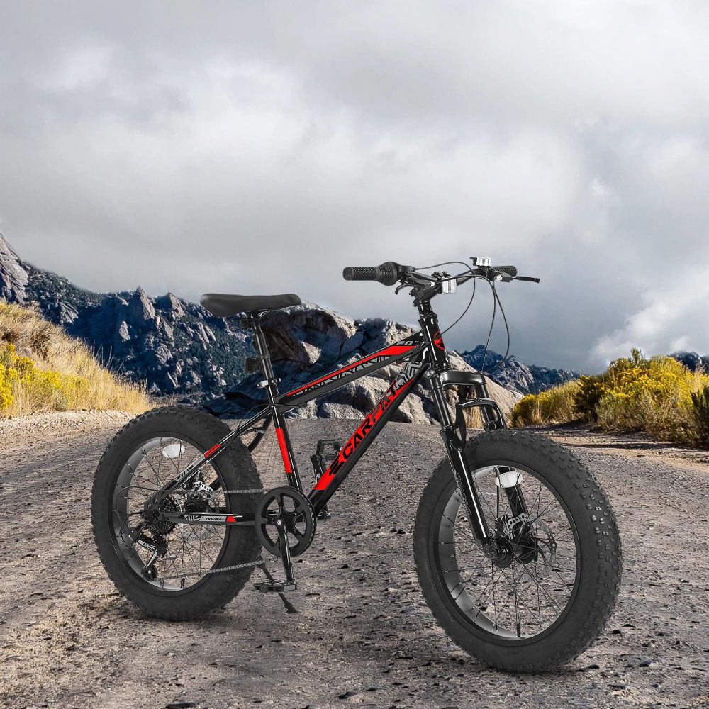 Sepeda Gunung Anak Remaja 20 I - Carbon Bike Frame ulasan dan harga